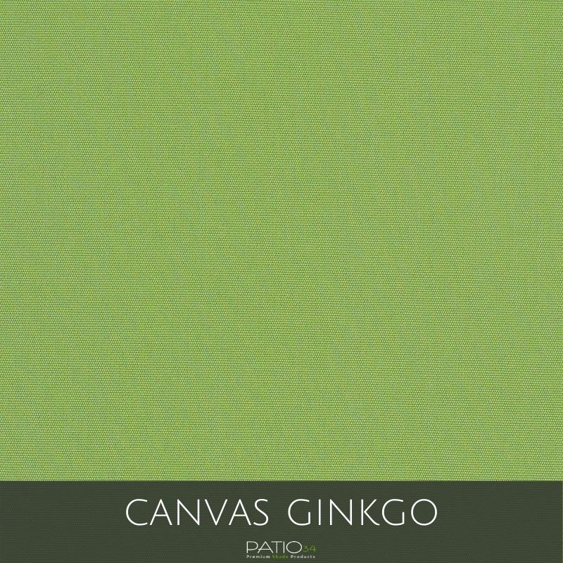 Canvas Ginkgo
