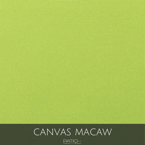 Canvas Macaw