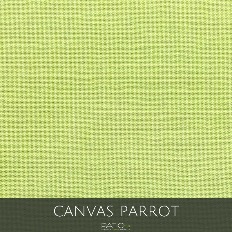 Canvas Parrot