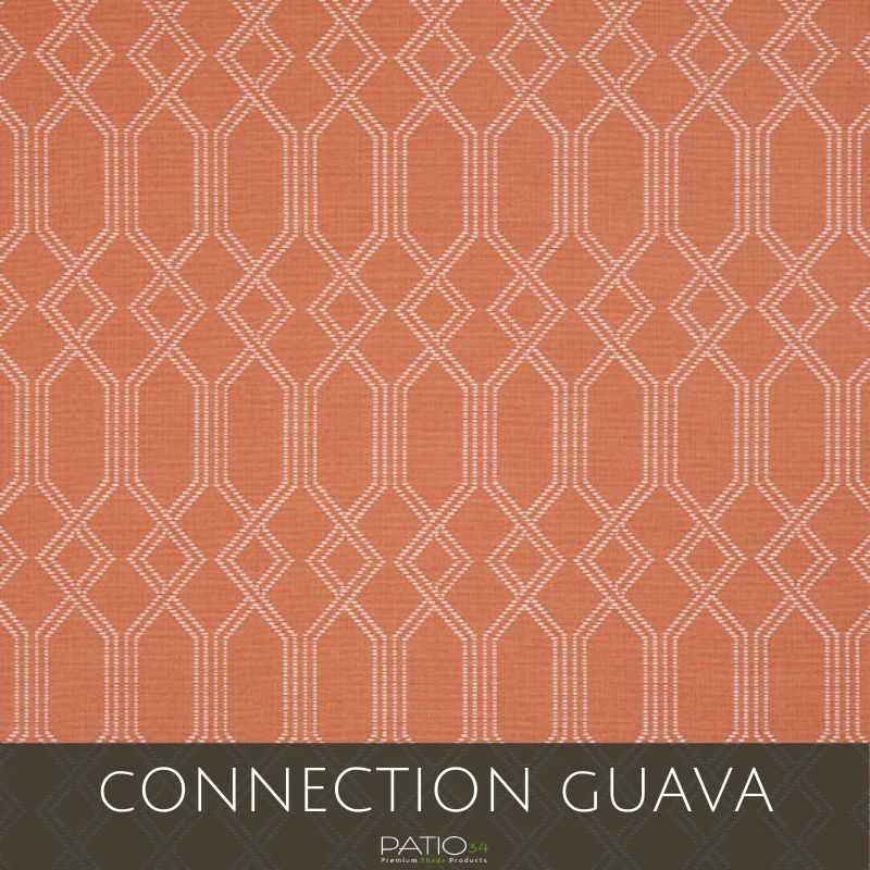 Connection Guava
