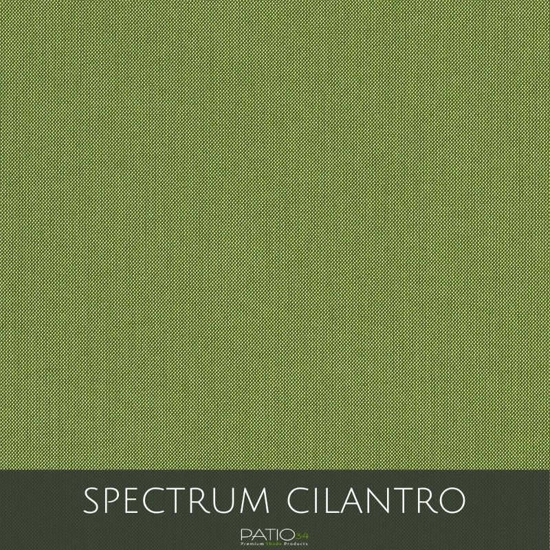 Spectrum Cilantro