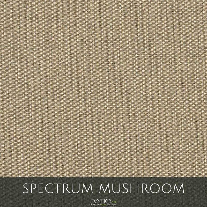 Spectrum Mushroom